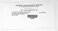 Image Associated With the Occurence